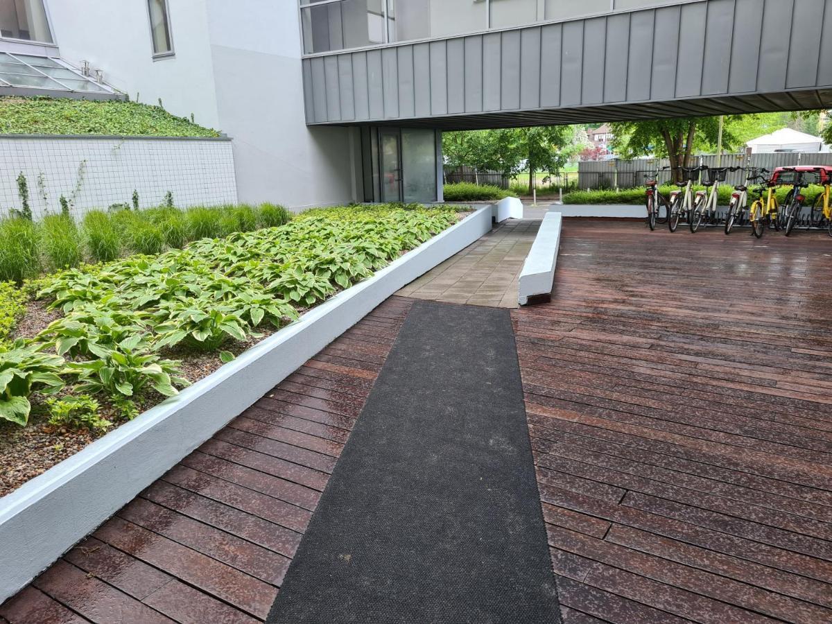 Apartament Royal Tulip コウォブジェク エクステリア 写真